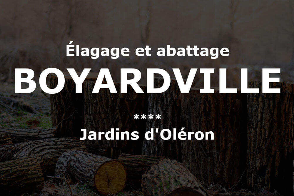 Élagage et abattage d'arbres et pins à Boyardville