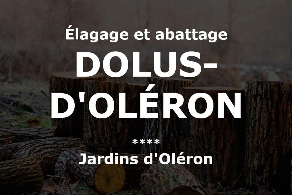 Élagage et abattage d'arbres et pins Dolus-d'Oléron