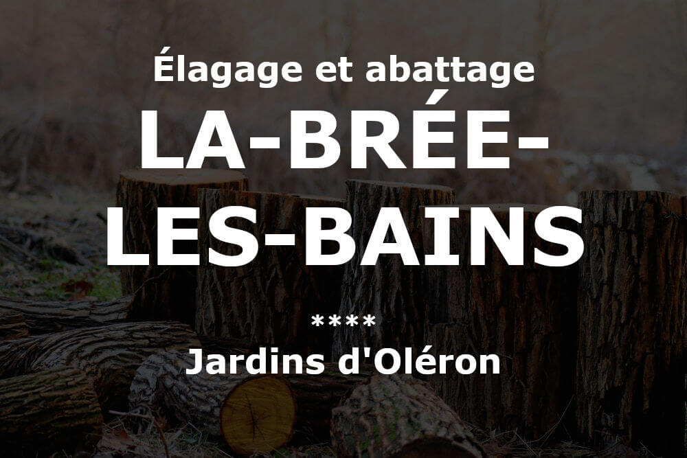 Elagage et abattage à La Brée-les-Bains