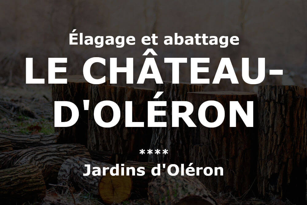 Élagage et abattage d'arbres et pins au Château-d'Oléron