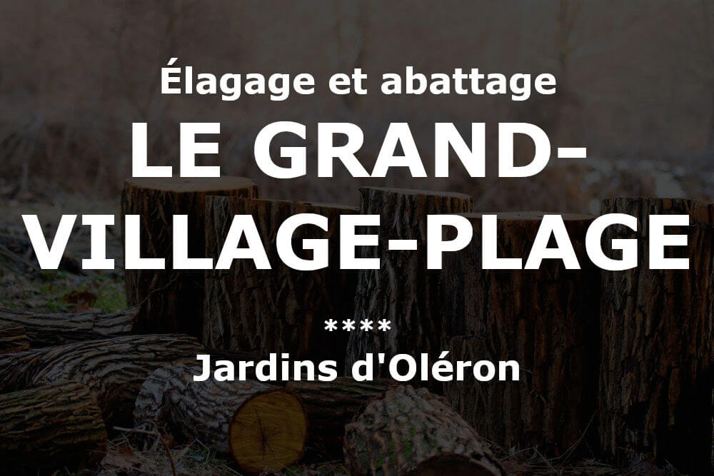 Élagage et abattage d'arbres et pins Le Grand-Village-Plage
