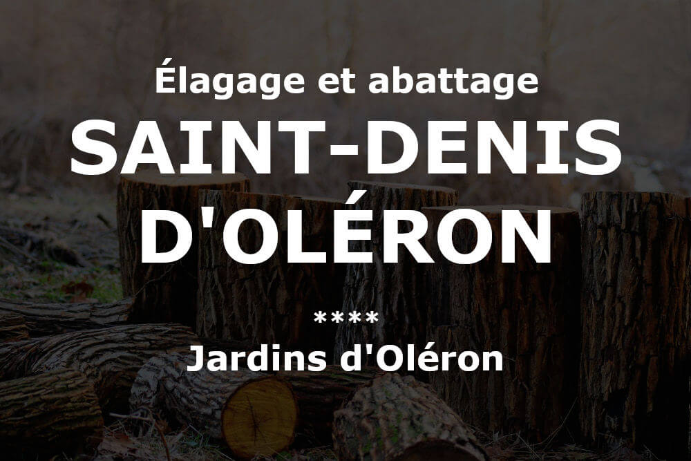 Élagage et abattage d'arbres et pins à Saint-Denis-d'Oléron