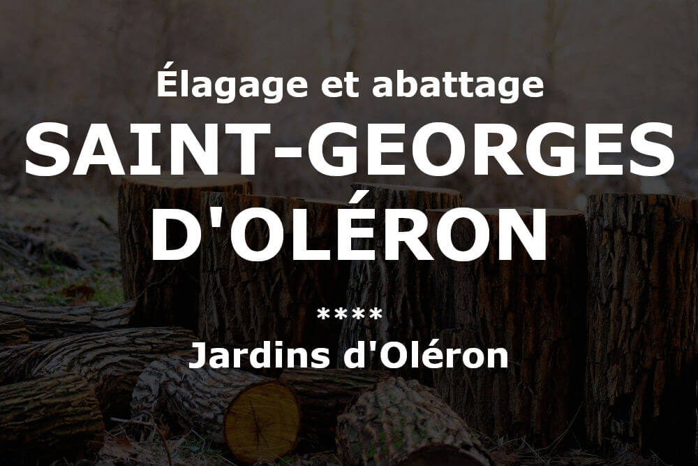 Élagage et abattage d'arbres et pins à Saint-Georges-d'Oléron