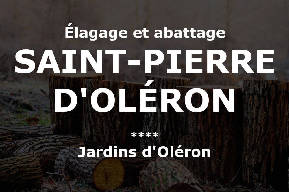 Élagage et abattage d'arbres et pins à Saint-Pierre-d'Oléron