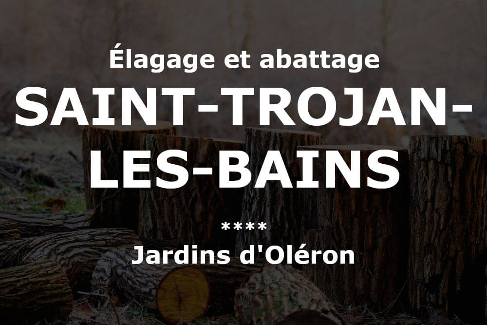 Élagage et abattage d'arbres et pins à Saint-Trojan-les-Bains